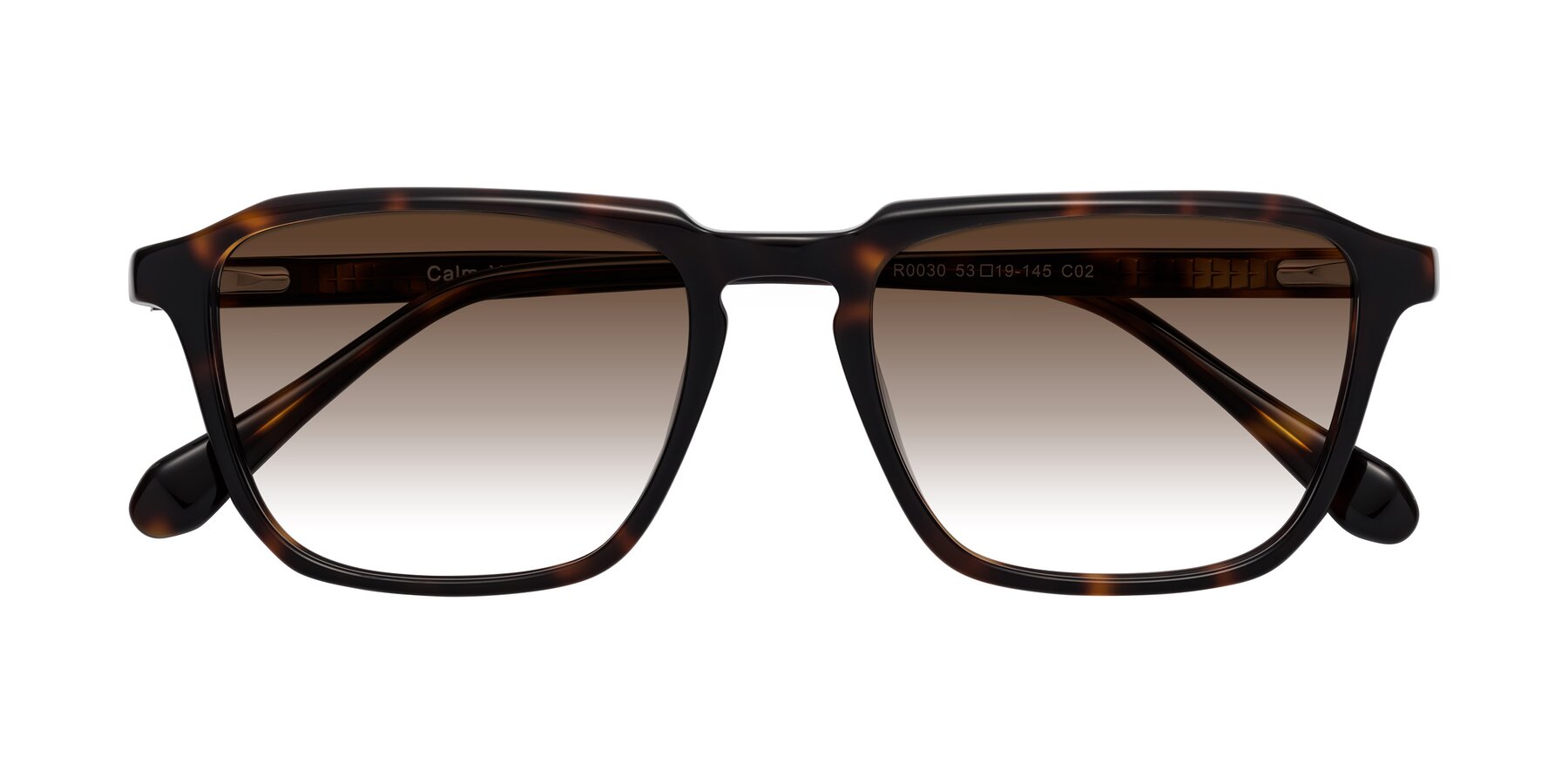 Folded Front of Calm in Tortoise with Brown Gradient Lenses