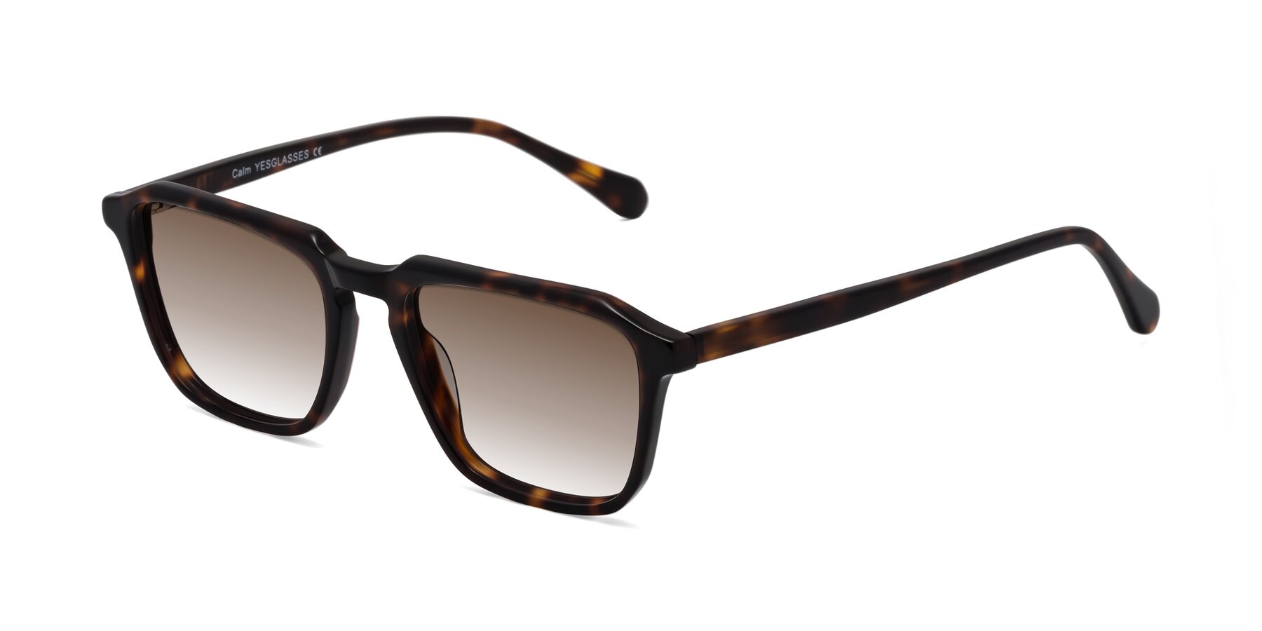 Angle of Calm in Tortoise with Brown Gradient Lenses