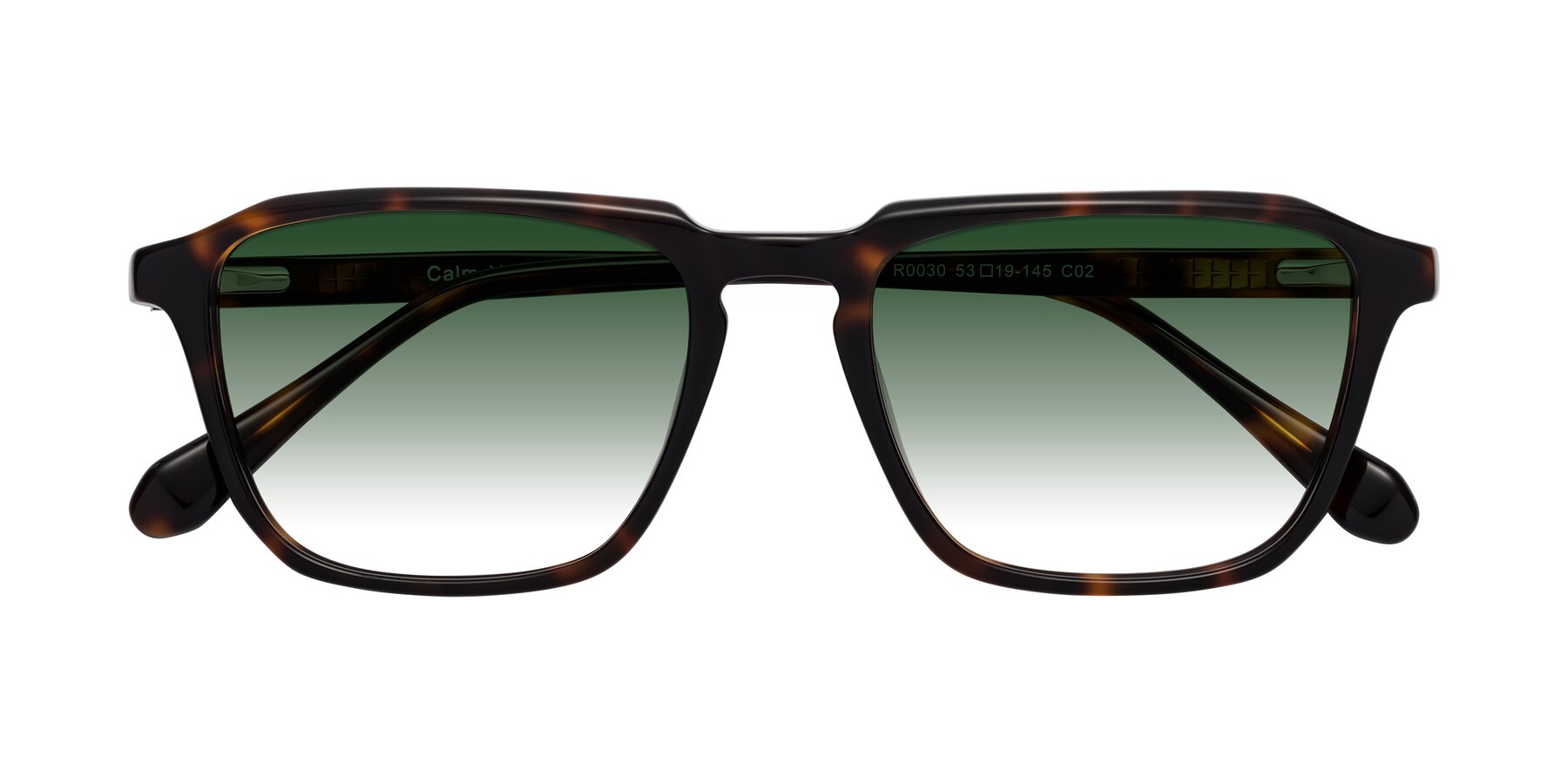 Folded Front of Calm in Tortoise with Green Gradient Lenses