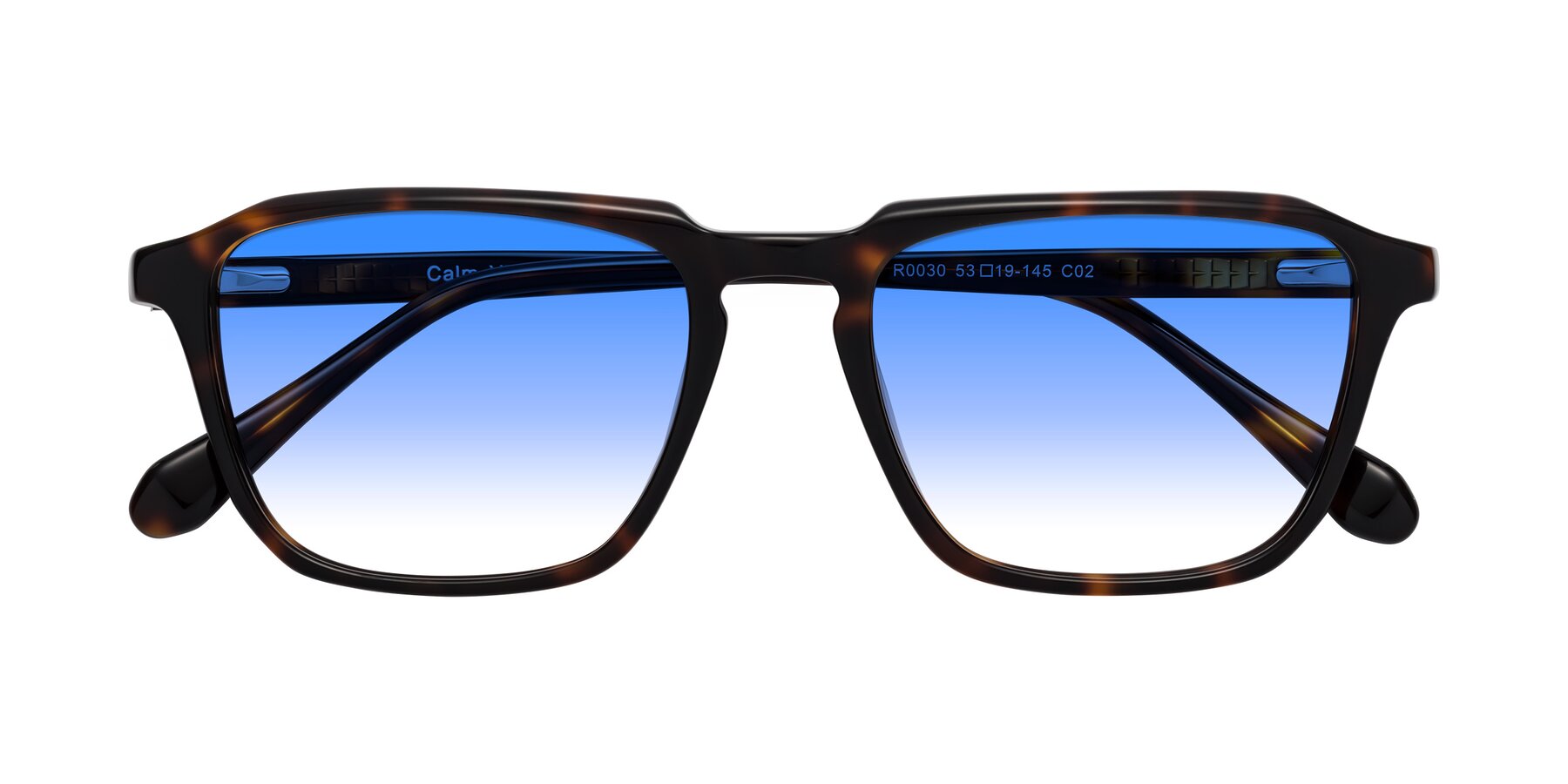 Folded Front of Calm in Tortoise with Blue Gradient Lenses