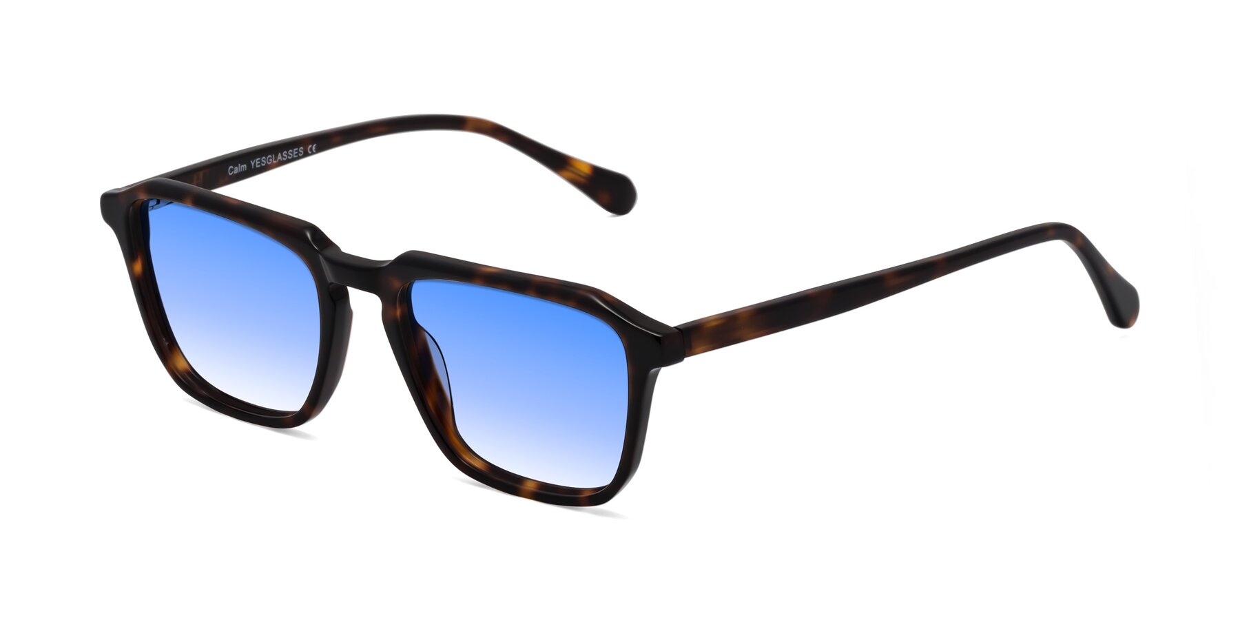 Angle of Calm in Tortoise with Blue Gradient Lenses