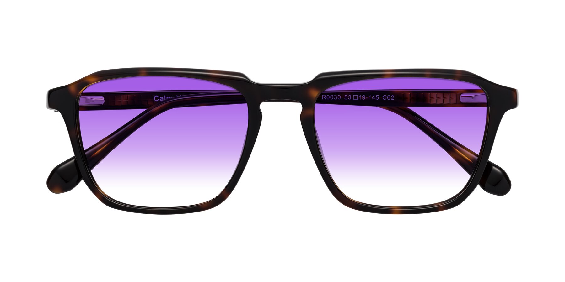 Folded Front of Calm in Tortoise with Purple Gradient Lenses