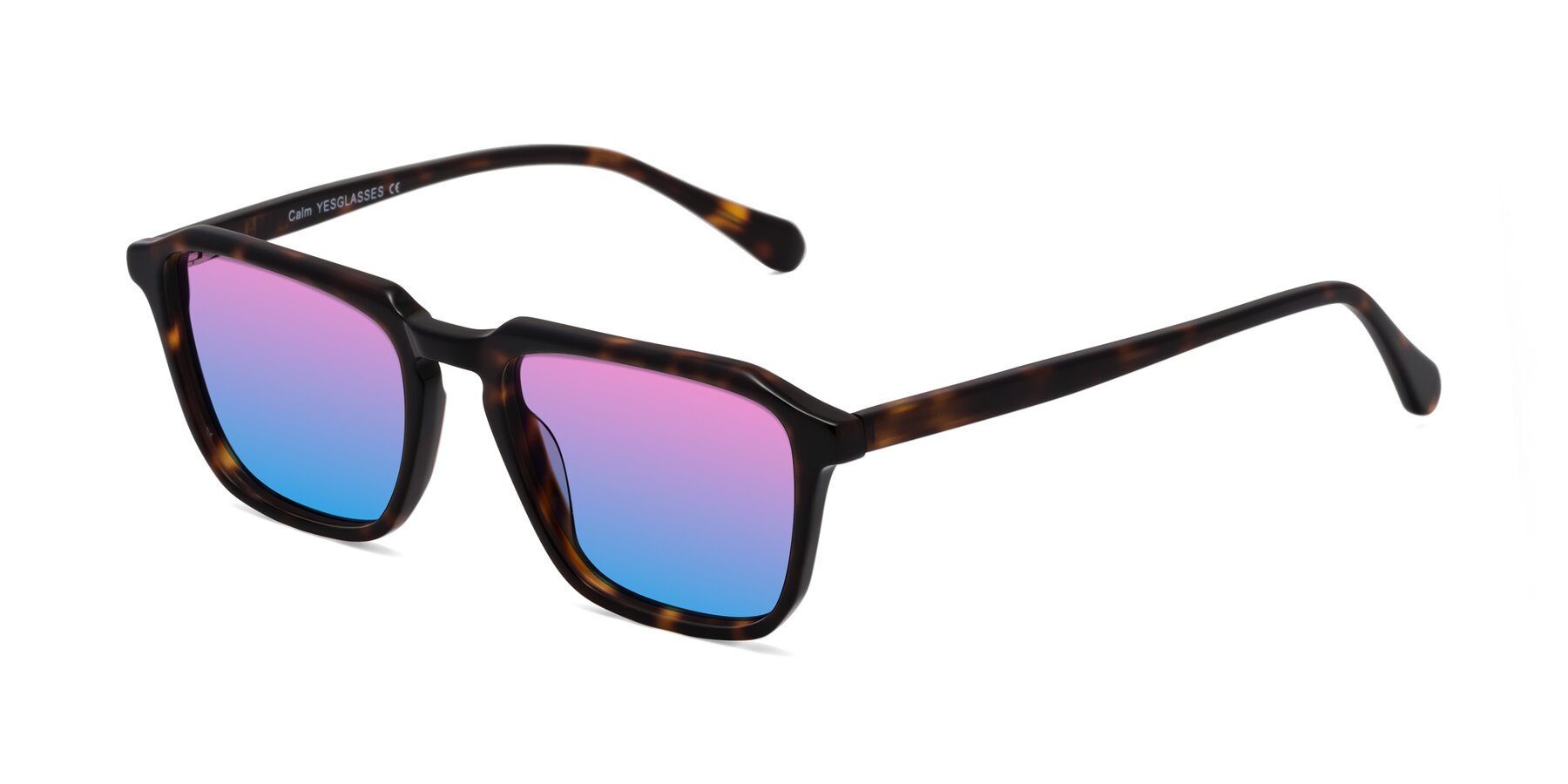 Angle of Calm in Tortoise with Pink / Blue Gradient Lenses