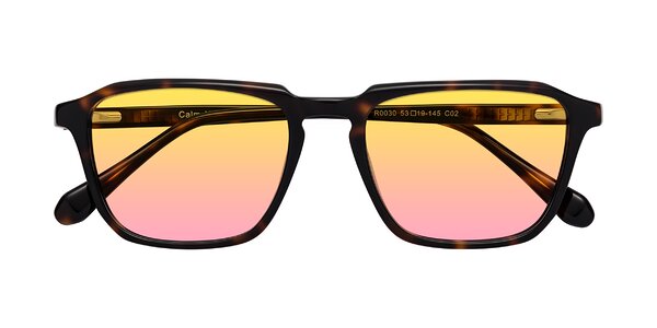 Front of Calm in Tortoise