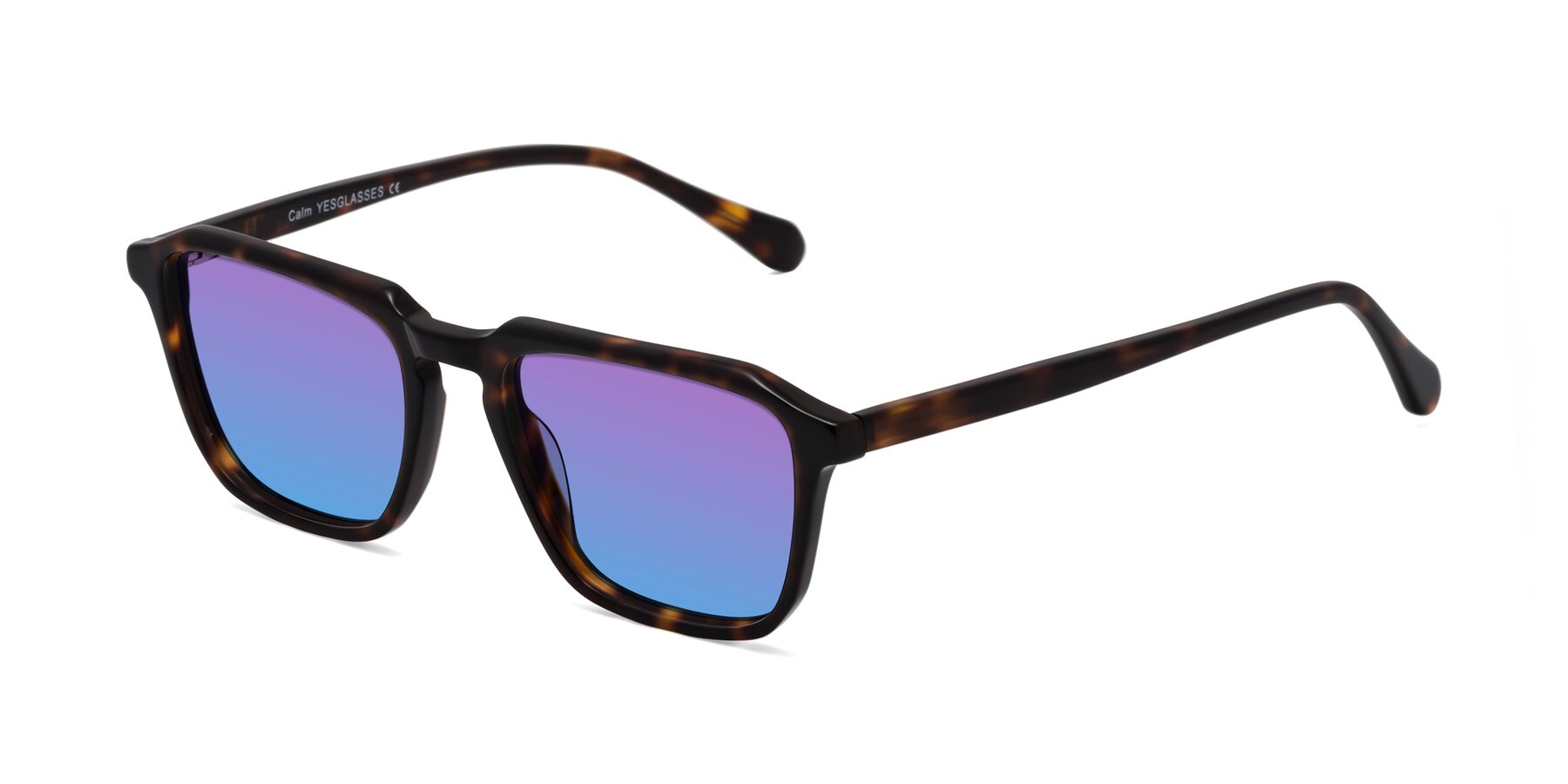 Angle of Calm in Tortoise with Purple / Blue Gradient Lenses