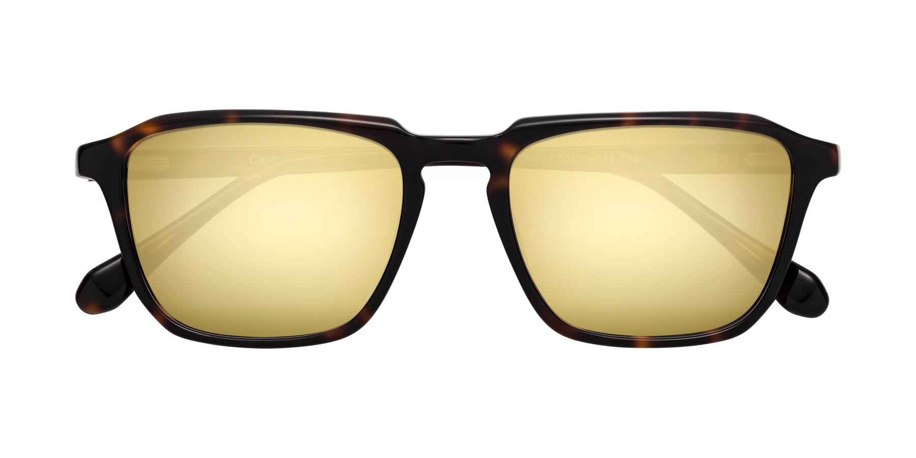 Folded Front of Calm in Tortoise with Gold Mirrored Lenses