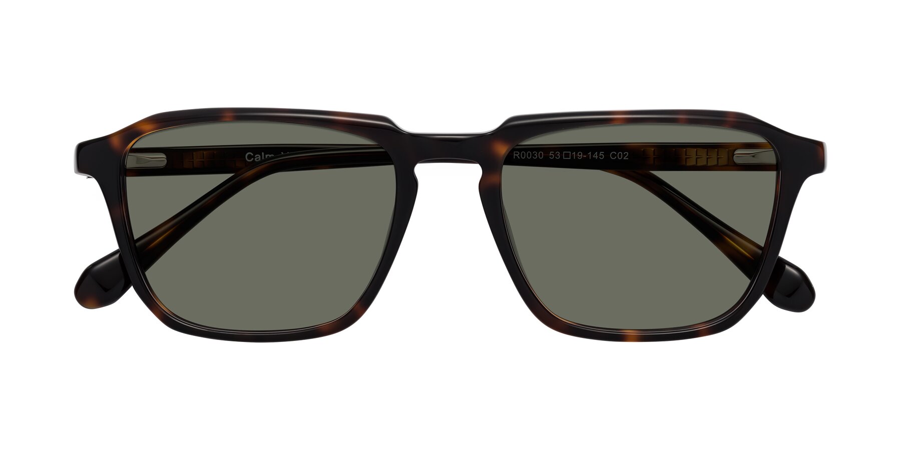 Folded Front of Calm in Tortoise with Gray Polarized Lenses