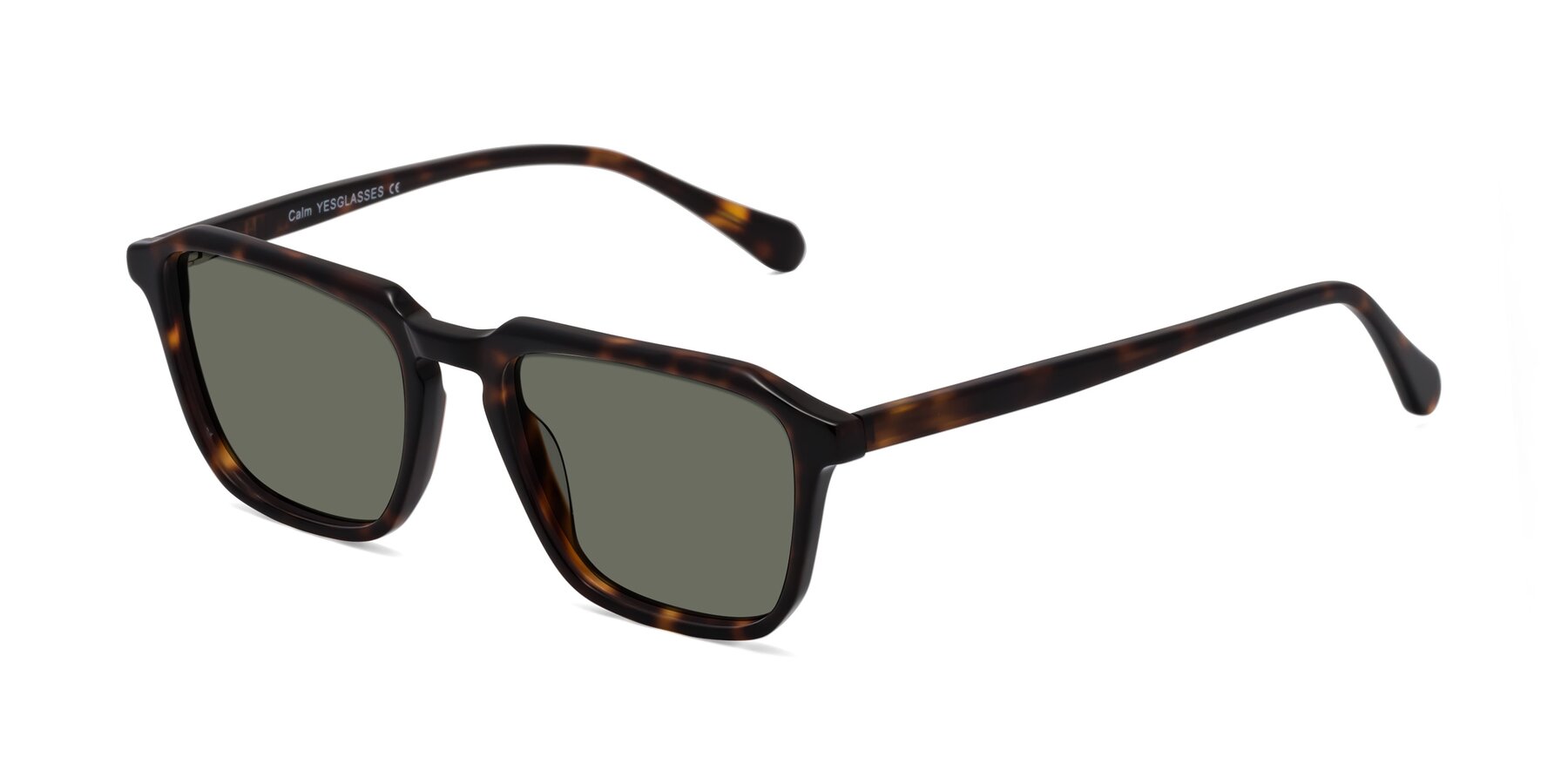 Angle of Calm in Tortoise with Gray Polarized Lenses