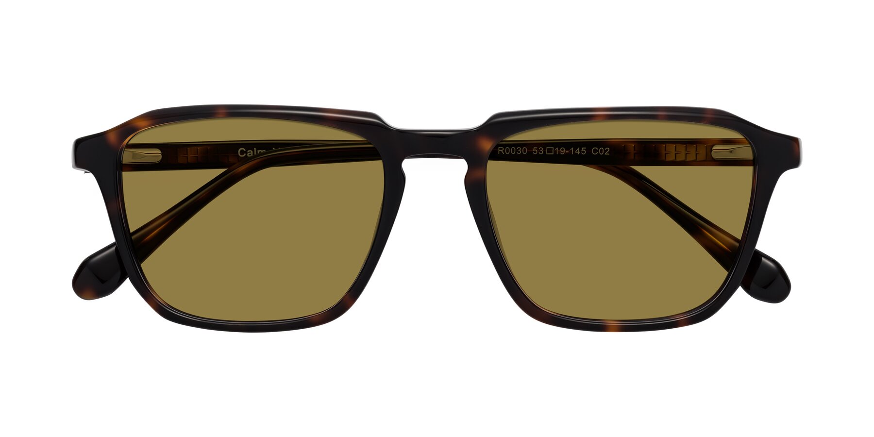 Folded Front of Calm in Tortoise with Brown Polarized Lenses