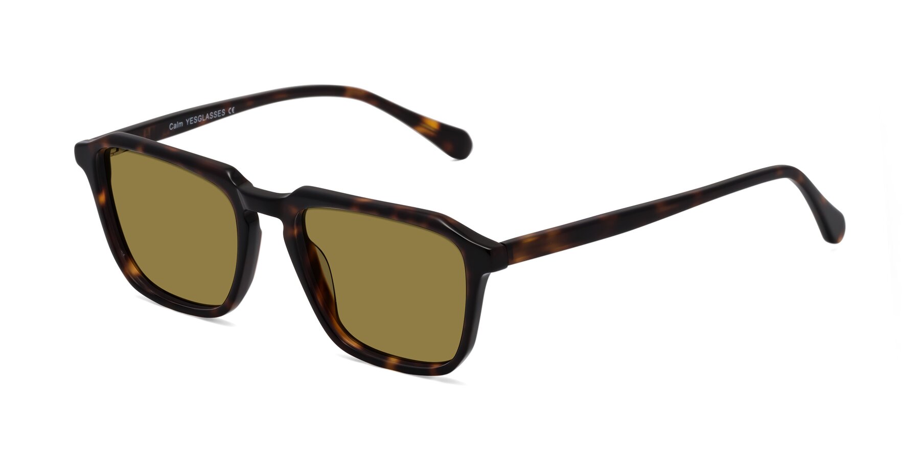 Angle of Calm in Tortoise with Brown Polarized Lenses