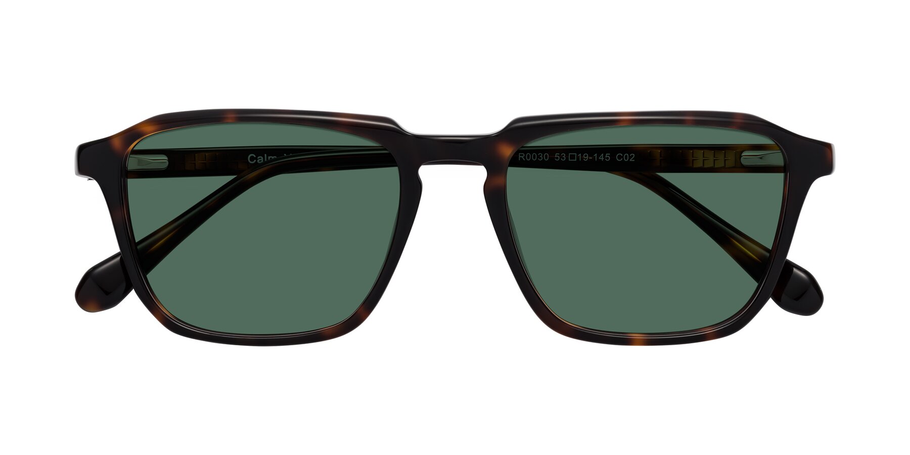 Folded Front of Calm in Tortoise with Green Polarized Lenses