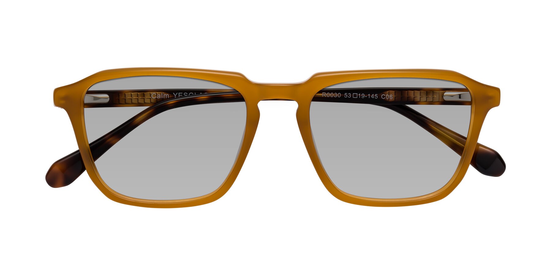 Folded Front of Calm in Caramel-Tortoise with Light Gray Tinted Lenses