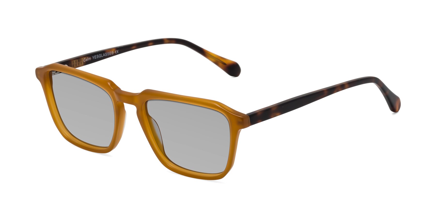 Angle of Calm in Caramel-Tortoise with Light Gray Tinted Lenses