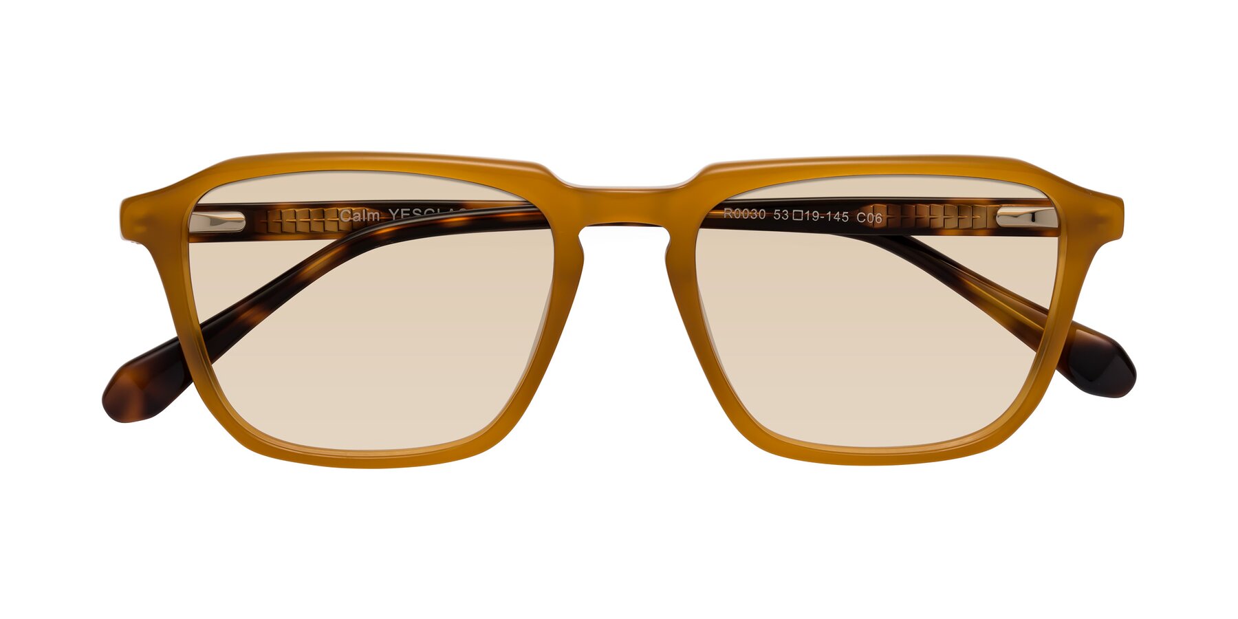 Folded Front of Calm in Caramel-Tortoise with Light Brown Tinted Lenses