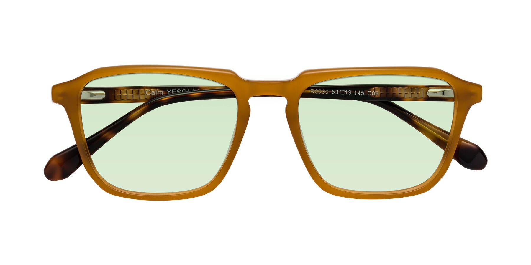 Folded Front of Calm in Caramel-Tortoise with Light Green Tinted Lenses