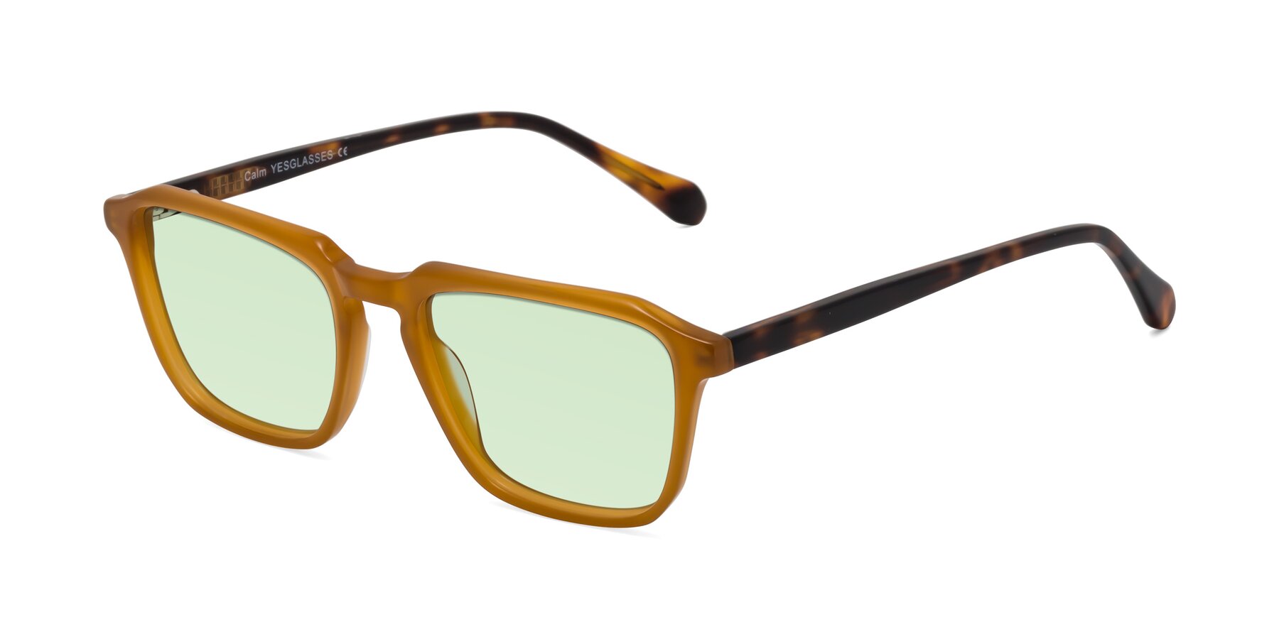 Angle of Calm in Caramel-Tortoise with Light Green Tinted Lenses