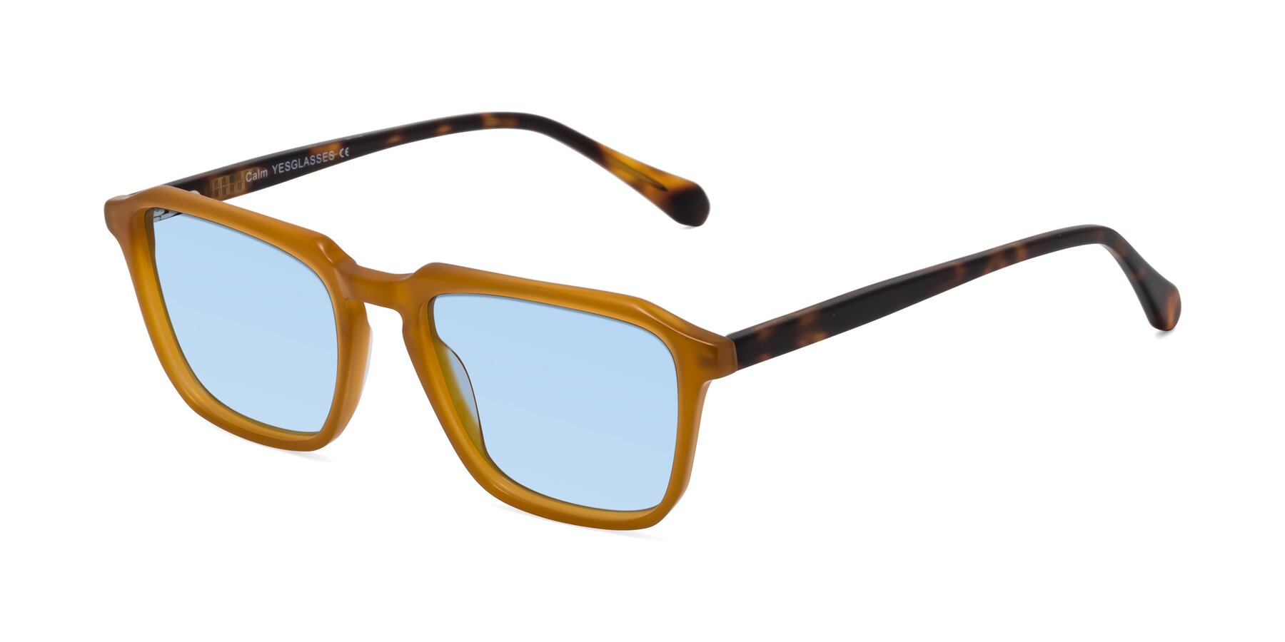 Angle of Calm in Caramel-Tortoise with Light Blue Tinted Lenses