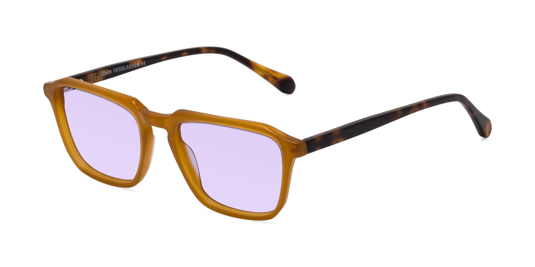 Angle of Calm in Caramel-Tortoise with Light Purple Tinted Lenses