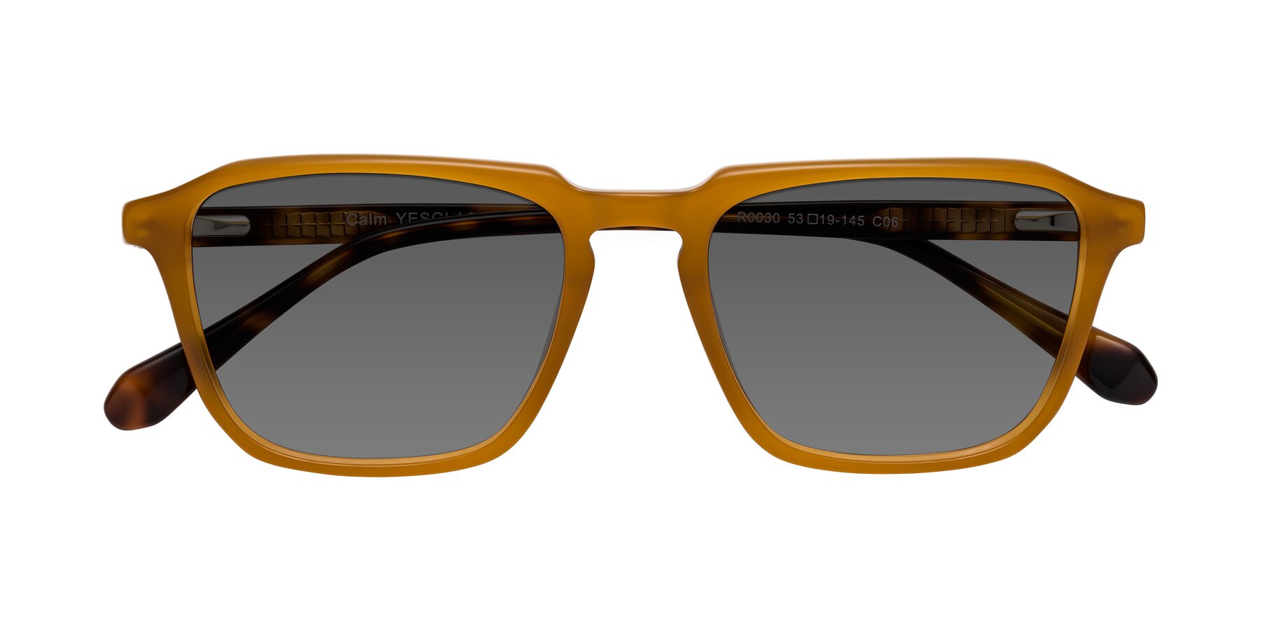 Folded Front of Calm in Caramel-Tortoise with Medium Gray Tinted Lenses