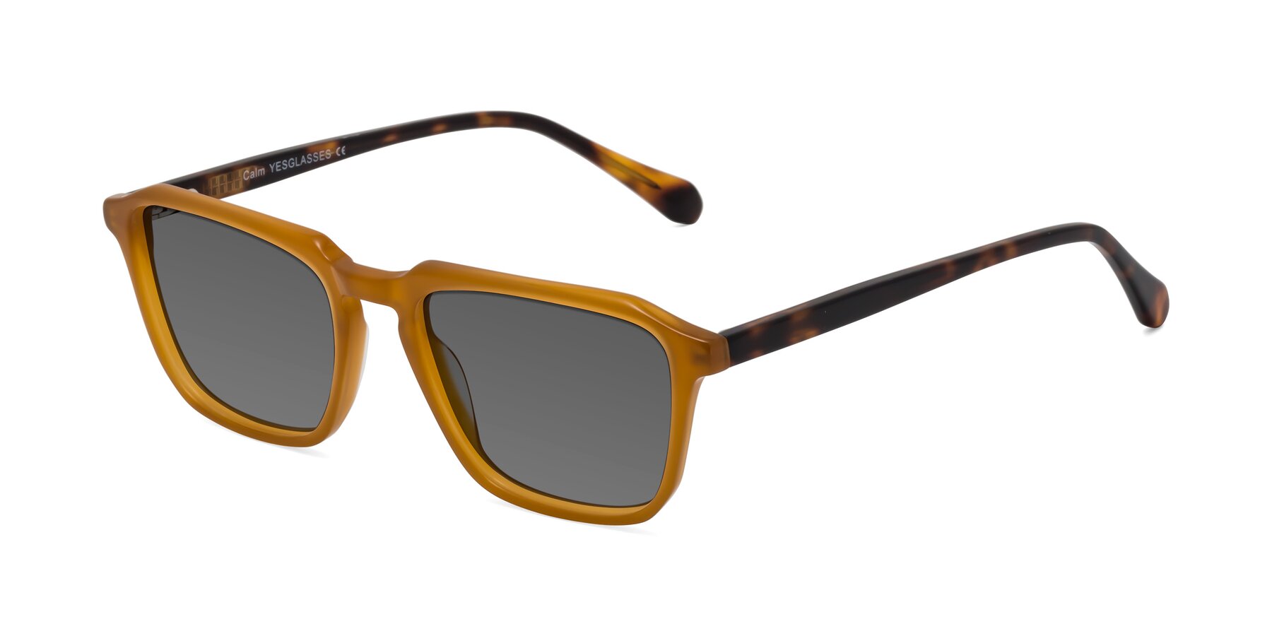 Angle of Calm in Caramel-Tortoise with Medium Gray Tinted Lenses