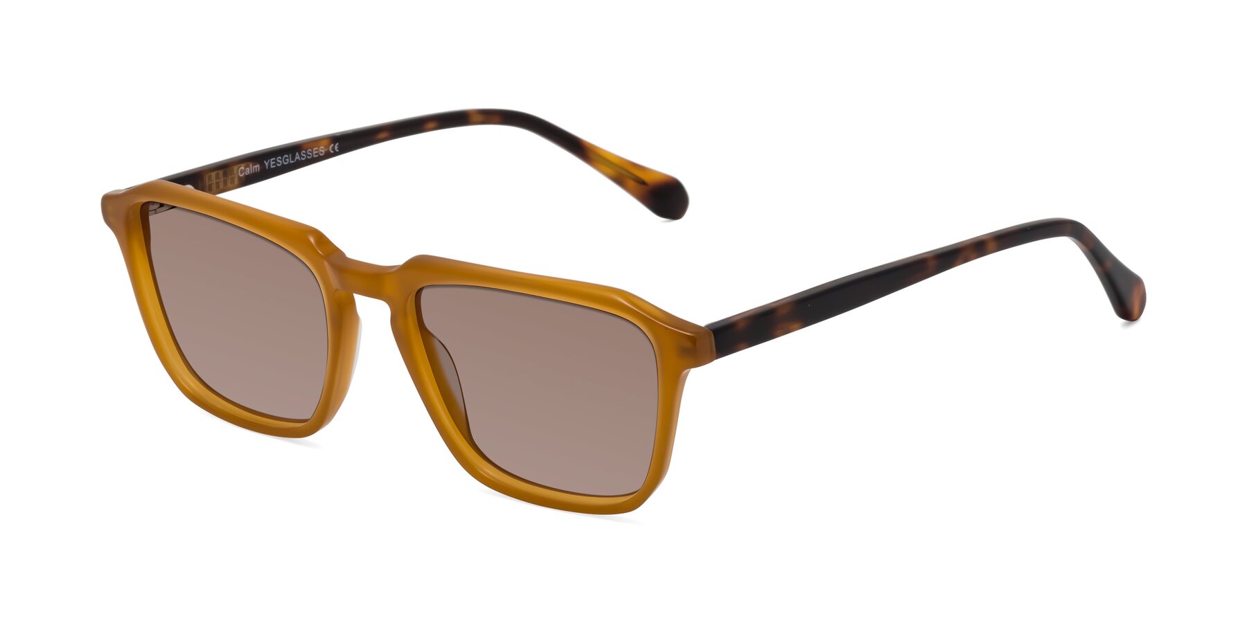 Angle of Calm in Caramel-Tortoise with Medium Brown Tinted Lenses