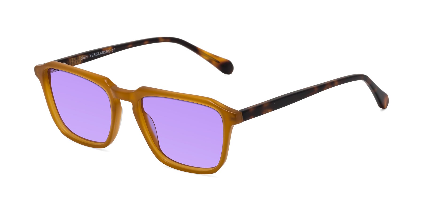 Angle of Calm in Caramel-Tortoise with Medium Purple Tinted Lenses