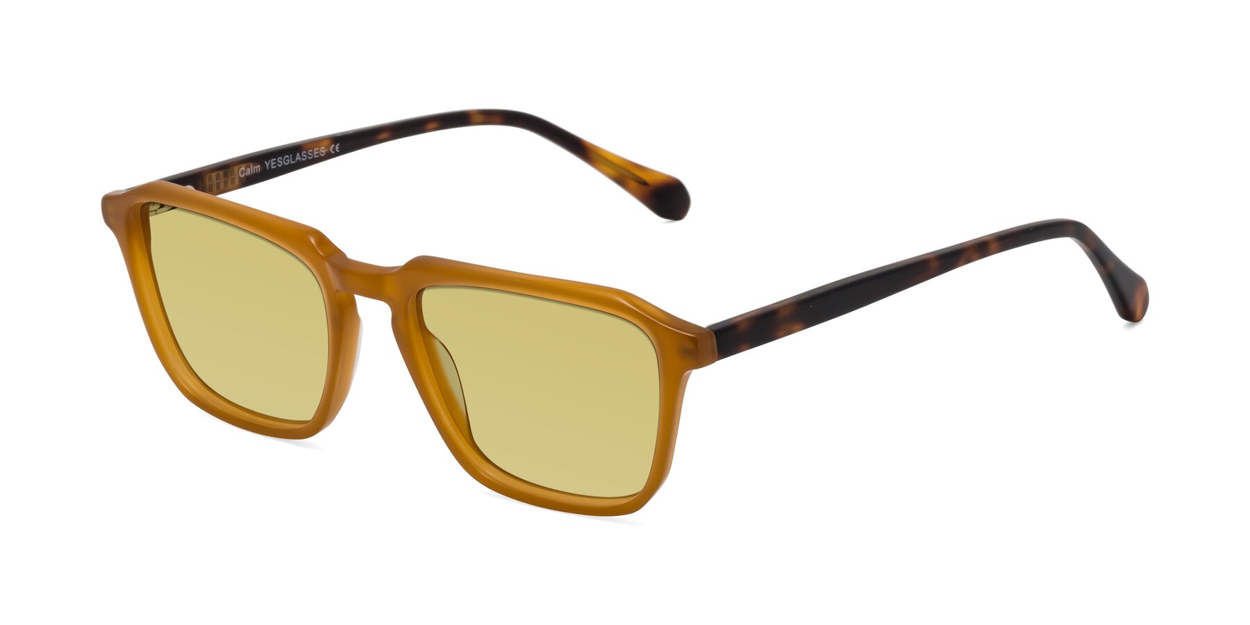 Angle of Calm in Caramel-Tortoise with Medium Champagne Tinted Lenses