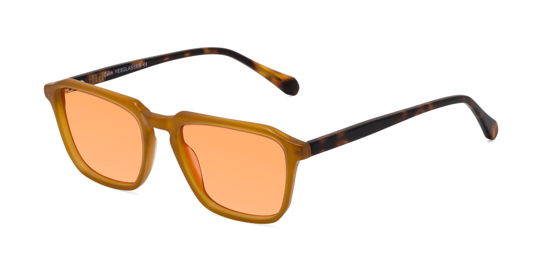 Angle of Calm in Caramel-Tortoise with Medium Orange Tinted Lenses