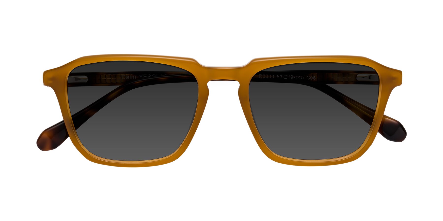 Folded Front of Calm in Caramel-Tortoise with Gray Tinted Lenses