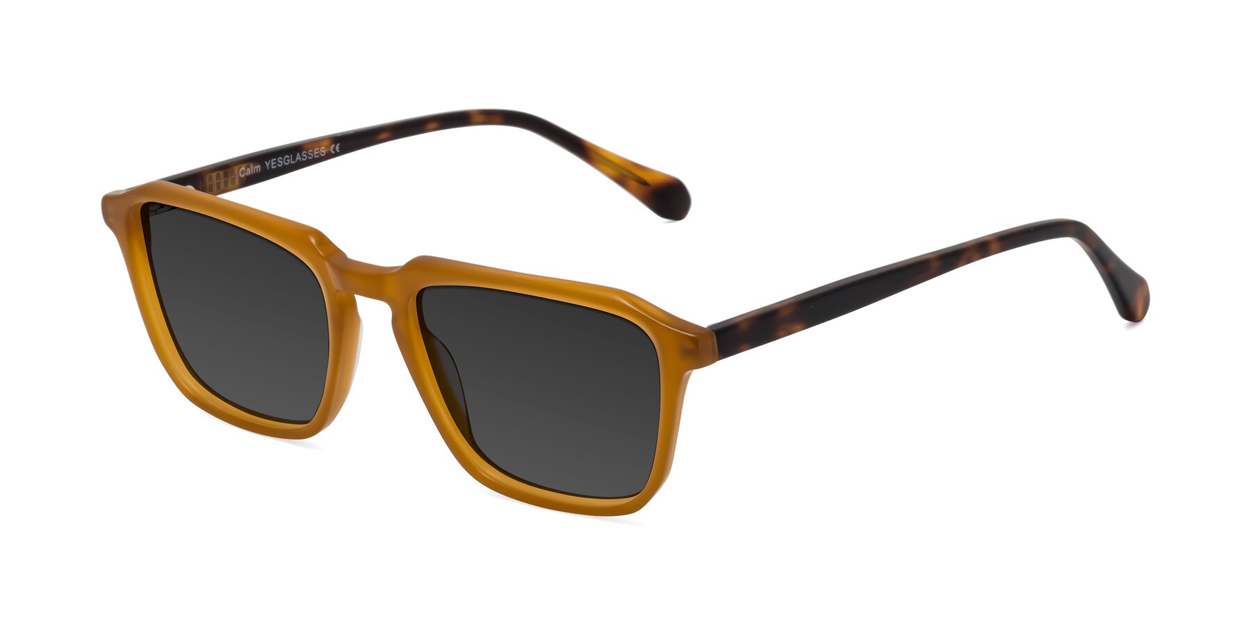 Angle of Calm in Caramel-Tortoise with Gray Tinted Lenses