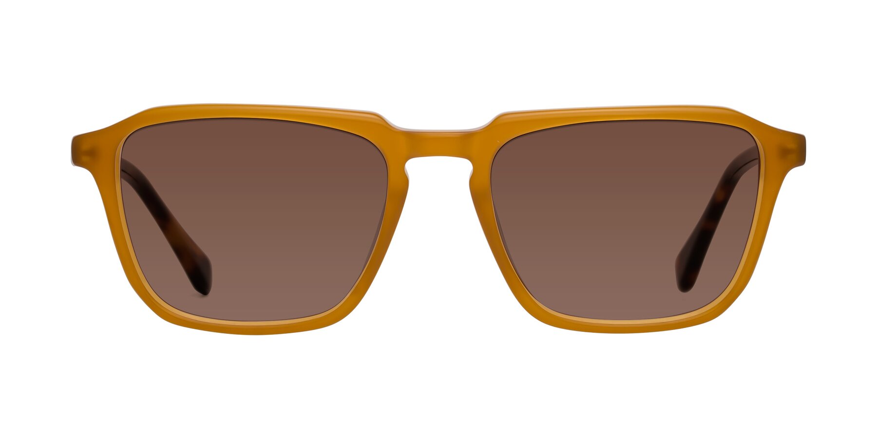 Calm - Caramel / Tortoise Sunglasses