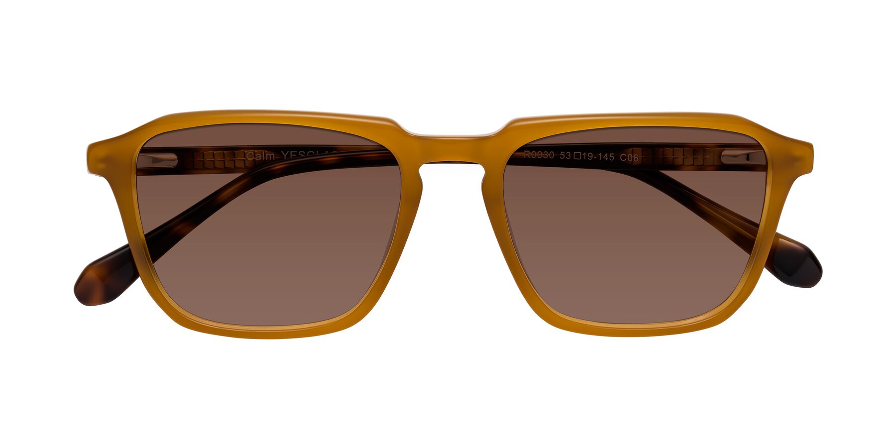 Folded Front of Calm in Caramel-Tortoise with Brown Tinted Lenses