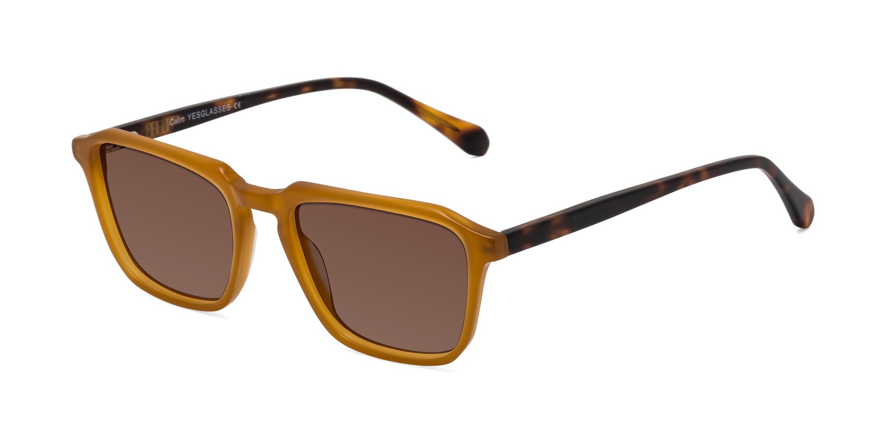 Angle of Calm in Caramel-Tortoise with Brown Tinted Lenses