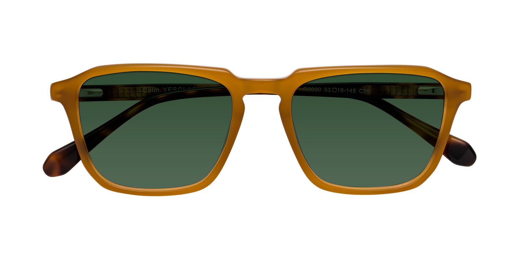 Folded Front of Calm in Caramel-Tortoise with Green Tinted Lenses