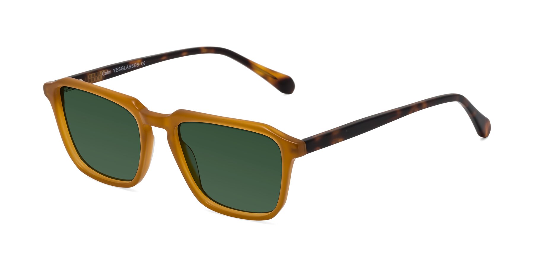 Angle of Calm in Caramel-Tortoise with Green Tinted Lenses