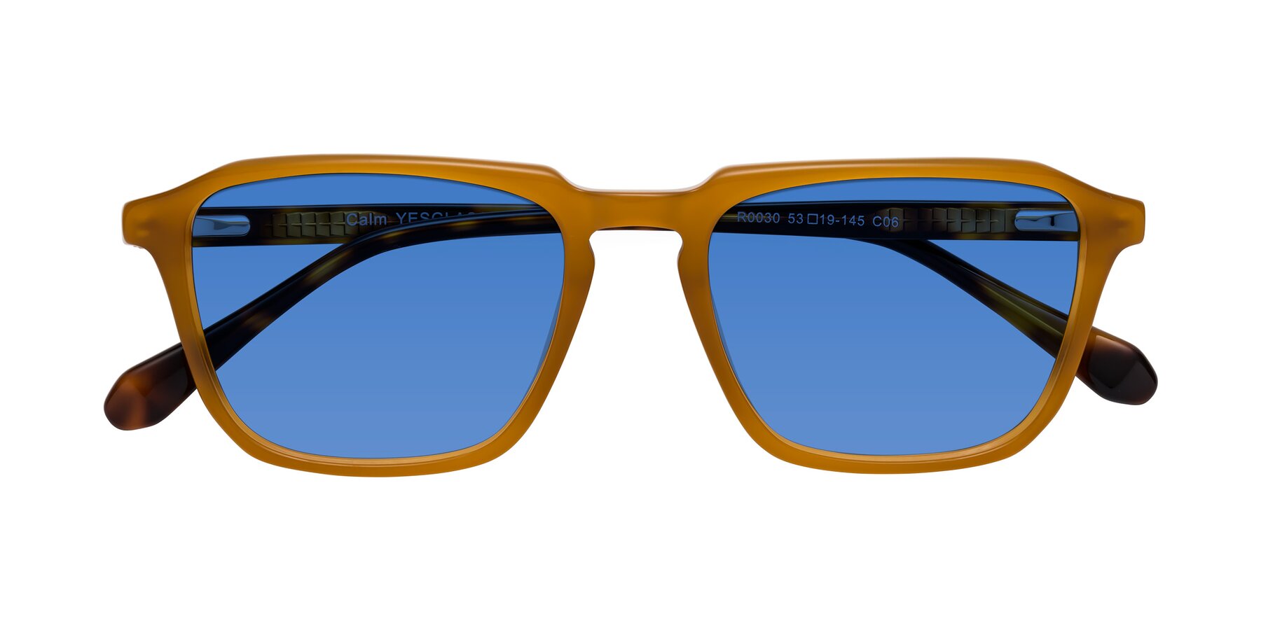 Folded Front of Calm in Caramel-Tortoise with Blue Tinted Lenses