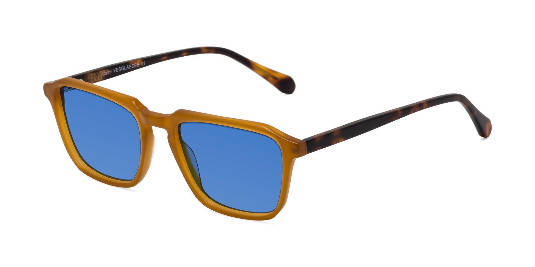 Angle of Calm in Caramel-Tortoise with Blue Tinted Lenses