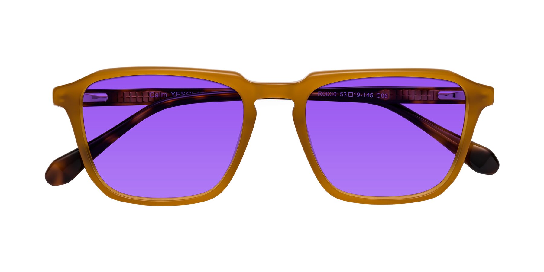 Folded Front of Calm in Caramel-Tortoise with Purple Tinted Lenses