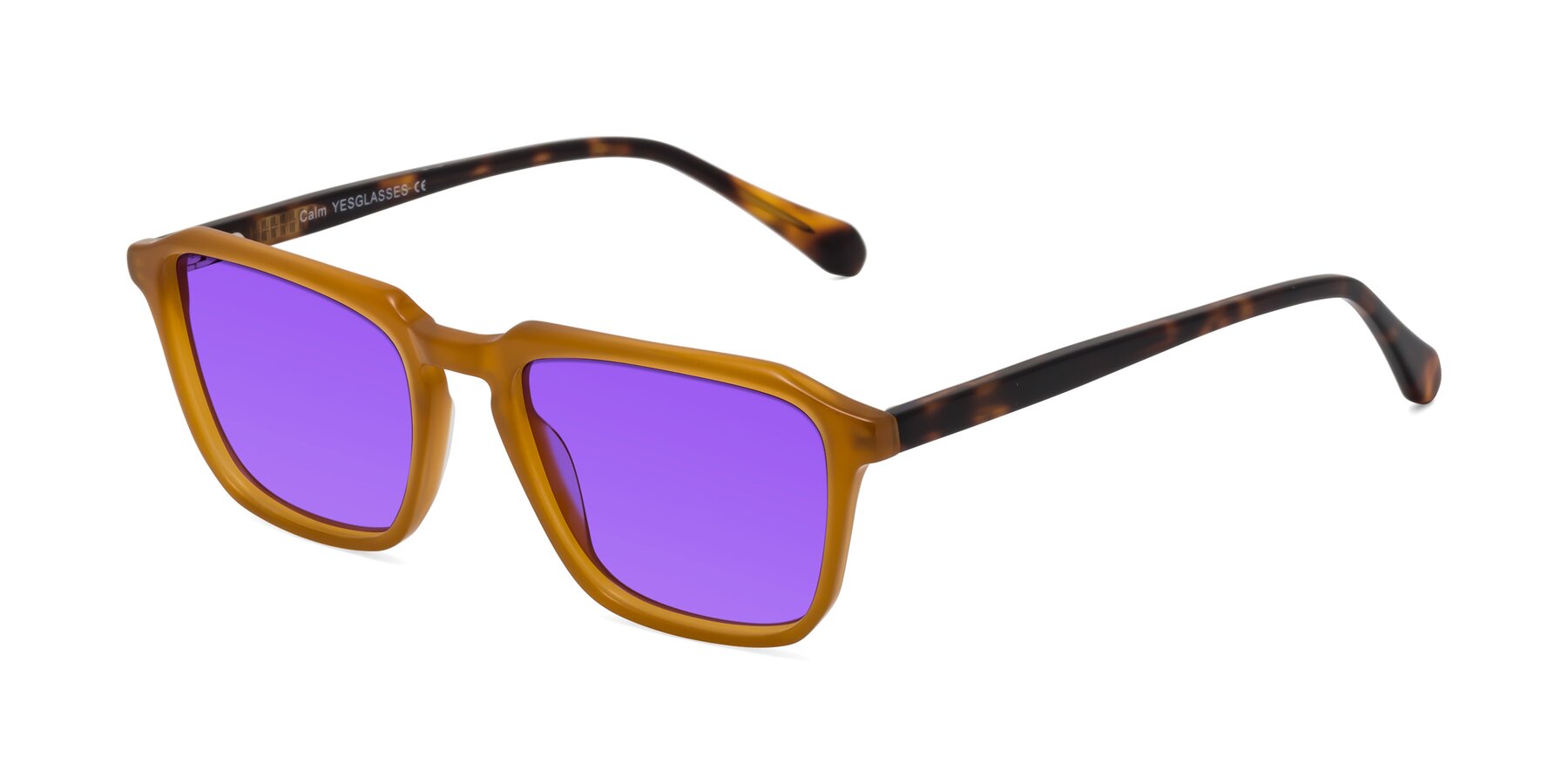 Angle of Calm in Caramel-Tortoise with Purple Tinted Lenses