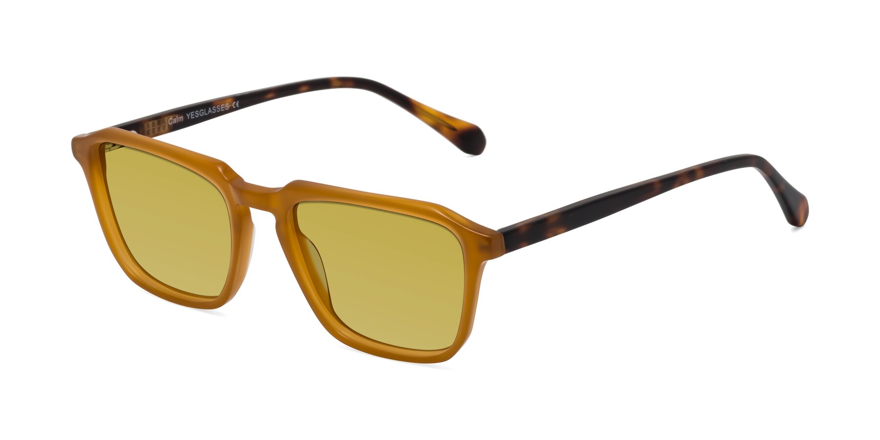 Angle of Calm in Caramel-Tortoise with Champagne Tinted Lenses