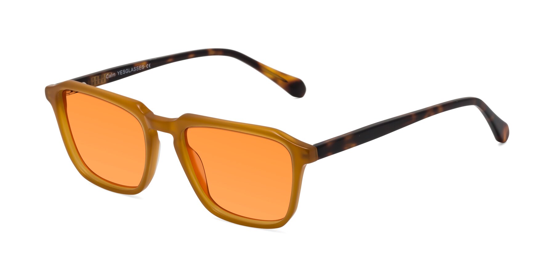 Angle of Calm in Caramel-Tortoise with Orange Tinted Lenses