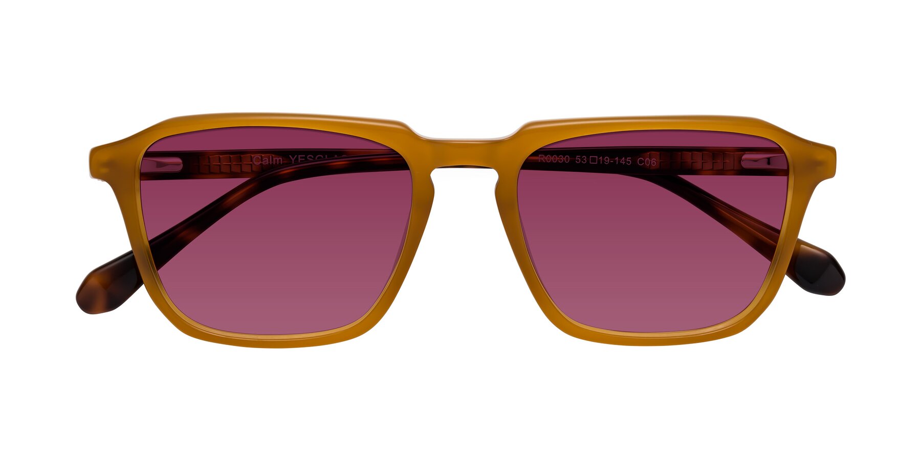 Folded Front of Calm in Caramel-Tortoise with Wine Tinted Lenses