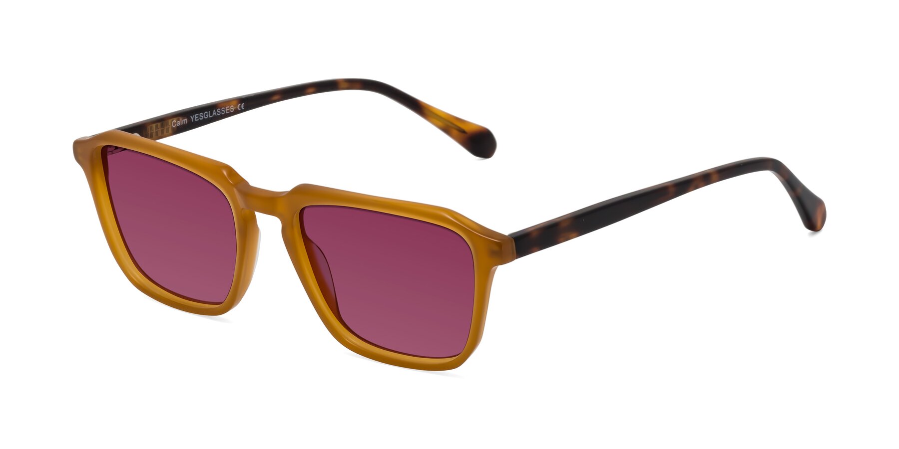 Angle of Calm in Caramel-Tortoise with Wine Tinted Lenses