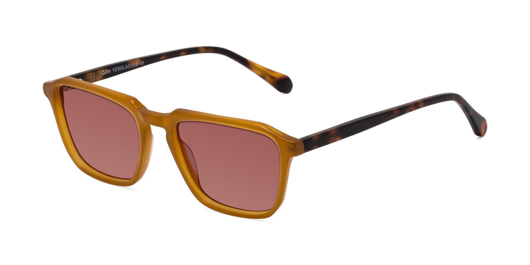 Angle of Calm in Caramel-Tortoise with Garnet Tinted Lenses