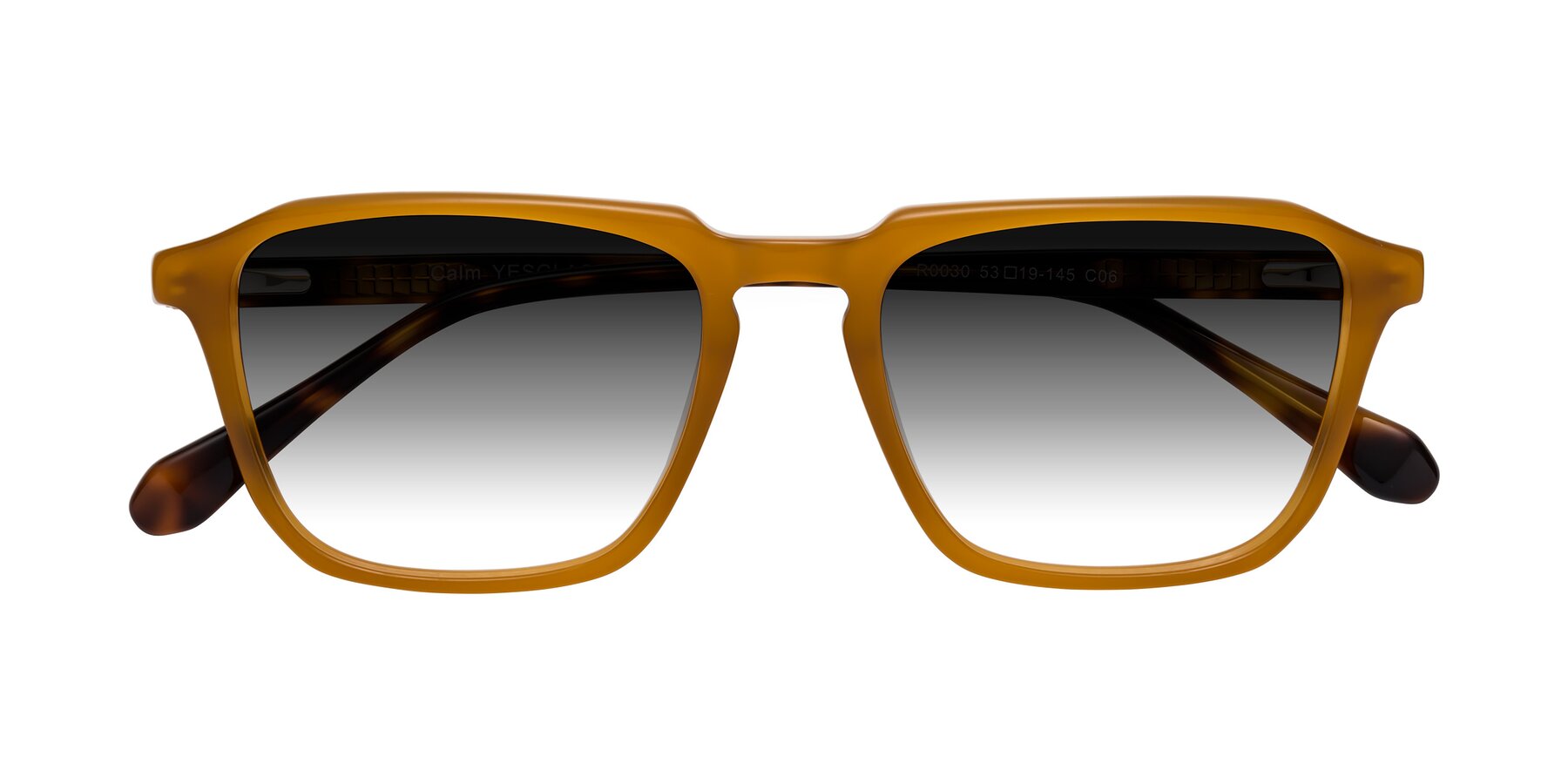 Folded Front of Calm in Caramel-Tortoise with Gray Gradient Lenses