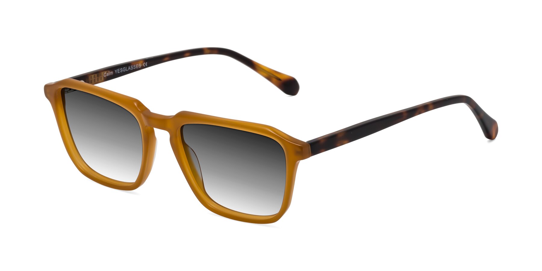 Angle of Calm in Caramel-Tortoise with Gray Gradient Lenses