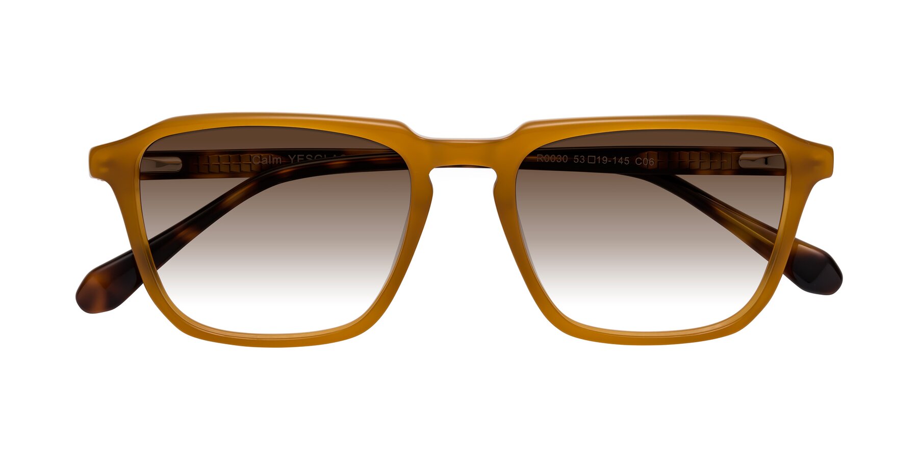 Folded Front of Calm in Caramel-Tortoise with Brown Gradient Lenses