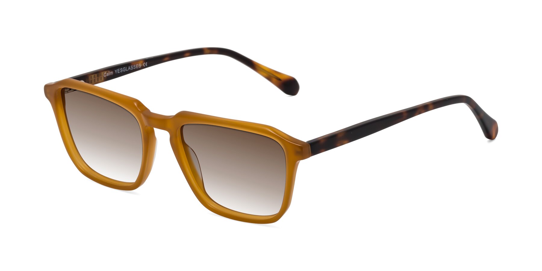 Angle of Calm in Caramel-Tortoise with Brown Gradient Lenses