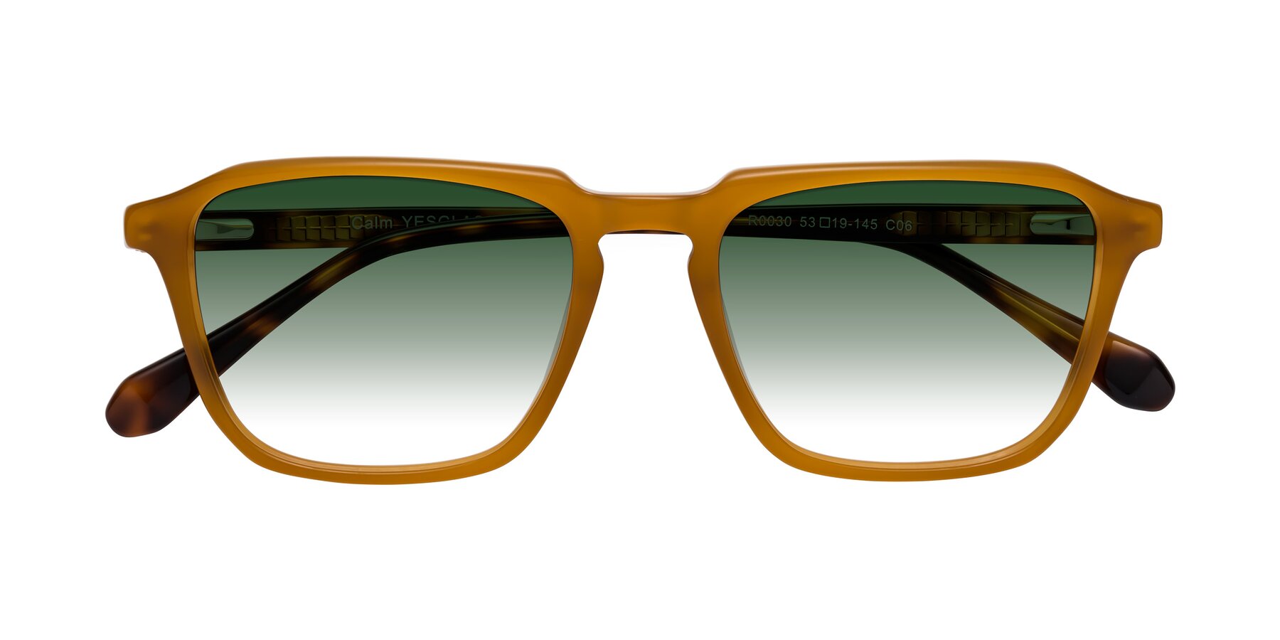 Folded Front of Calm in Caramel-Tortoise with Green Gradient Lenses