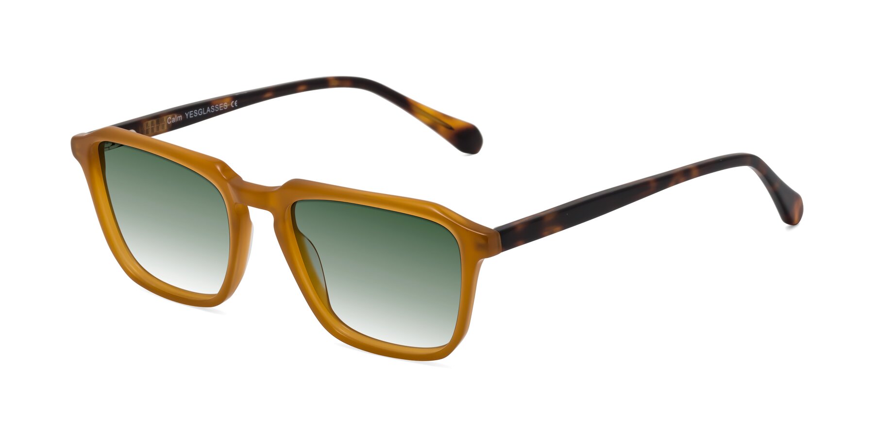 Angle of Calm in Caramel-Tortoise with Green Gradient Lenses